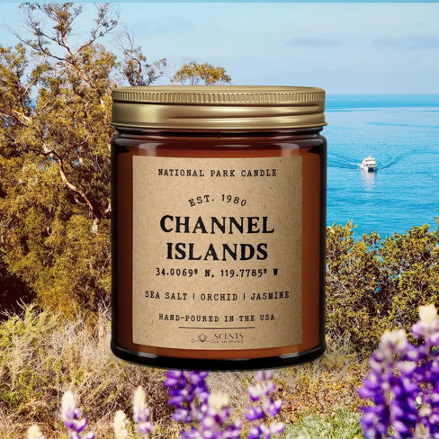Channel_Islands_National_Park_Candle_1
