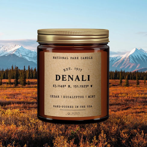 Denali National Park Candle