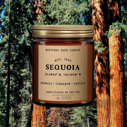 Sequoia National Park Candle