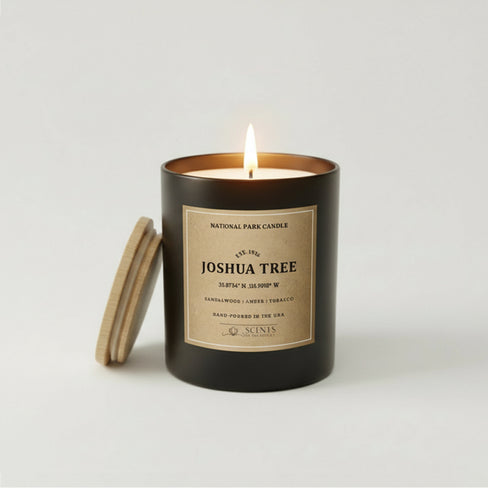 Joshua Tree National Park scented candle in a black jar